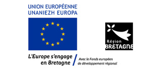 Logo region bretagne